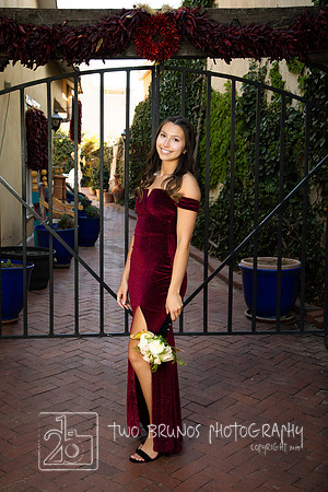 VVHS Prom 2025-413351