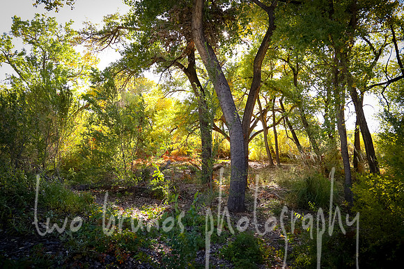 Vezino Family-1