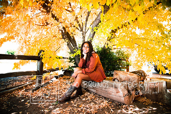 Sydnie-1261