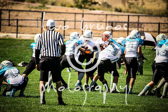Eldorado VS Cleveland-1111