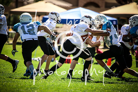 Eldorado VS Cleveland-1170