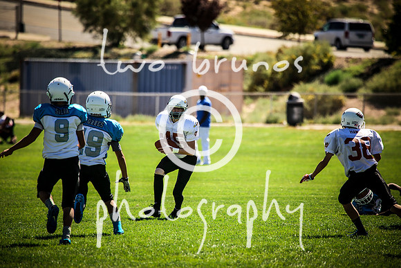 Eldorado VS Cleveland-1125