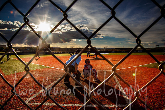 Dynasty 10U Blue-66
