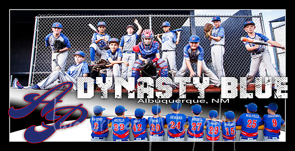 10U Banner AP Dynasty 2015 Sp SM
