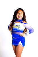 ccs2019-0869