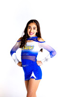 ccs2019-0876
