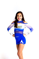 ccs2019-0873
