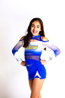 ccs2019-0875