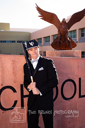 VVHSBB24-0509