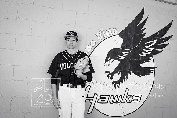 VVHSBB24-0341-2