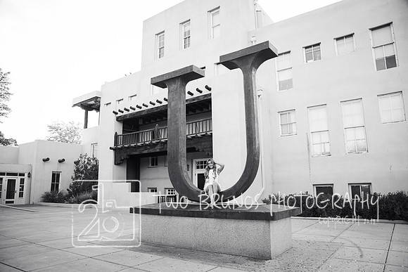 UNM 26-412881