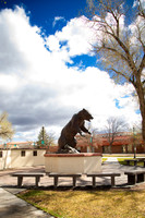 Adams State 26-413127