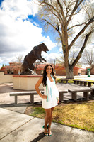 Adams State 26-413131