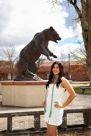 Adams State 26-413145