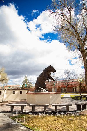 Adams State 26-413127