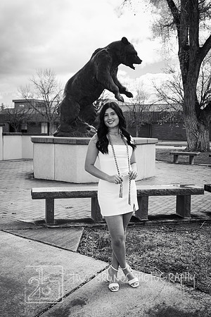 Adams State 26-413155-2