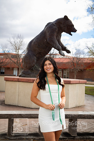 Adams State 26-413156