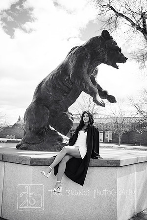 Adams State 26-413201-2