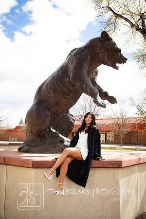 Adams State 26-413200