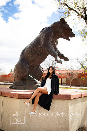 Adams State 26-413201