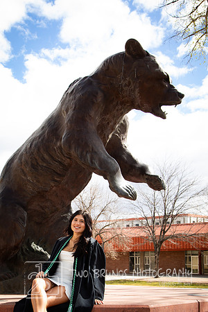 Adams State 26-413205