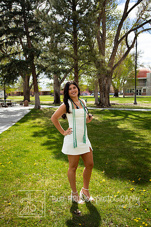Adams State 26-413254