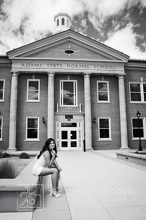 Adams State 26-413337-2