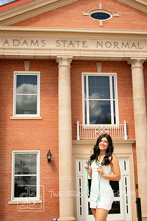 Adams State 26-413338-3