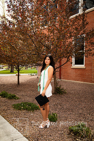 Adams State 26-413350