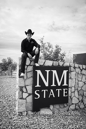 Ryan NMSU 26-413452-2
