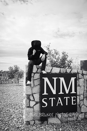 Ryan NMSU 26-413453-2