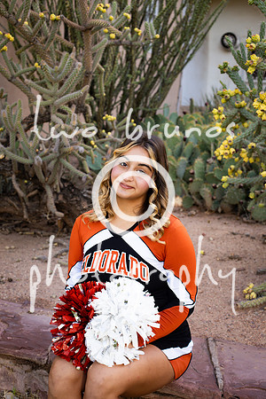 EHS Cheer 26 27-415803