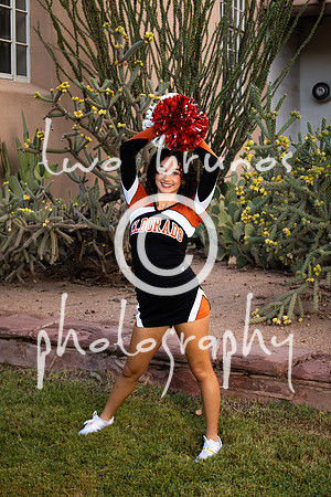 EHS Cheer 26 27-415481