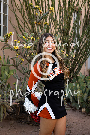 EHS Cheer 26 27-415548