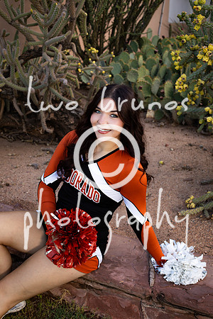 EHS Cheer 26 27-415491