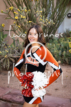 EHS Cheer 26 27-415735