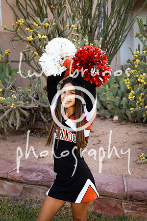 EHS Cheer 26 27-415786