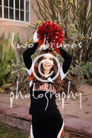 EHS Cheer 26 27-415695