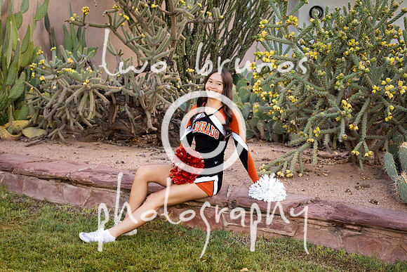 EHS Cheer 26 27-415721