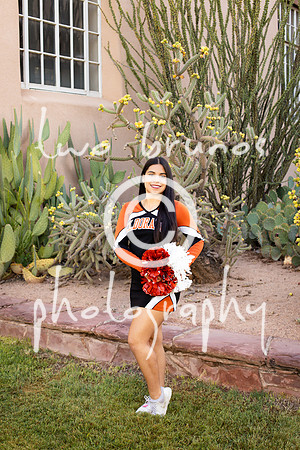 EHS Cheer 26 27-415876