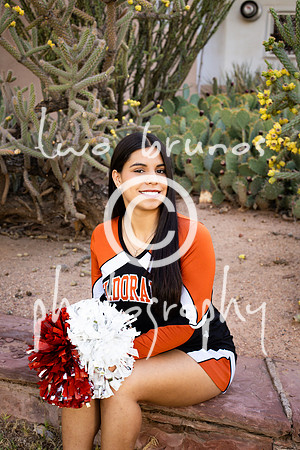 EHS Cheer 26 27-415875