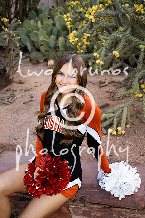 EHS Cheer 26 27-415749