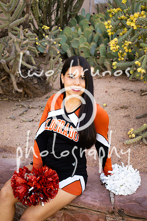 EHS Cheer 26 27-415871