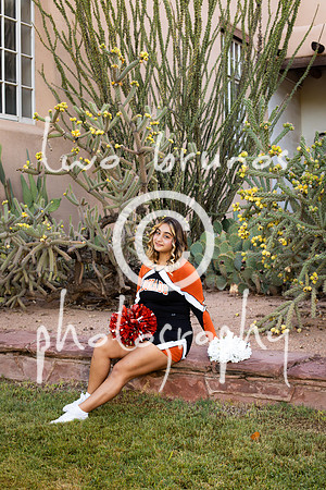 EHS Cheer 26 27-415797