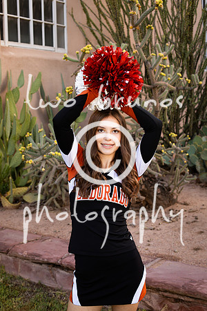 EHS Cheer 26 27-415696
