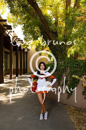 EHS Cheer 26 27-416194