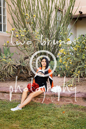 EHS Cheer 26 27-415869