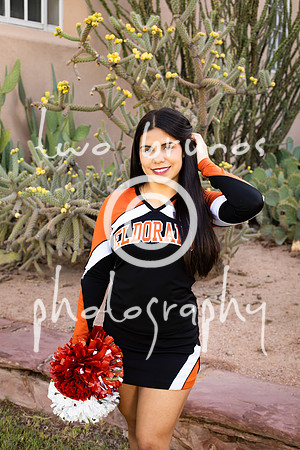 EHS Cheer 26 27-415886