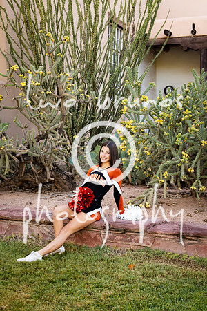 EHS Cheer 26 27-415938