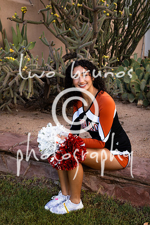 EHS Cheer 26 27-415478